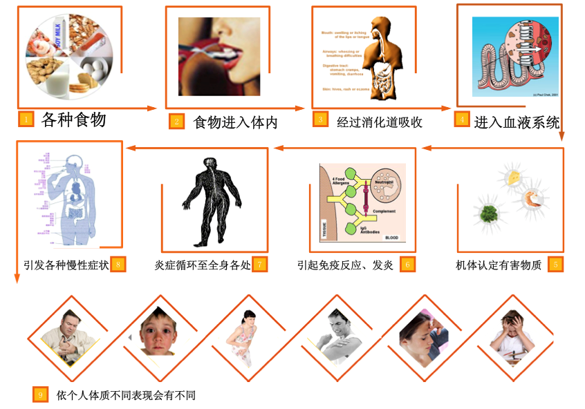 过敏2.png