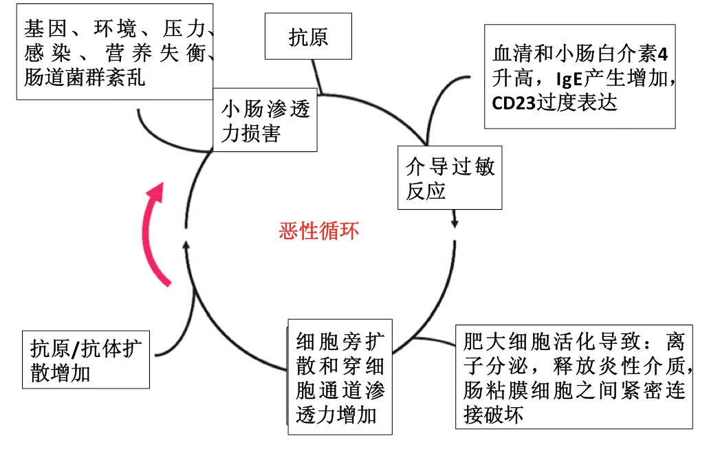 过敏3.jpg