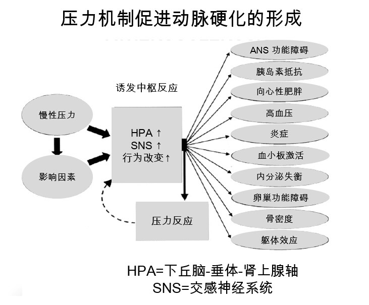 1507846406345904.jpg j6.jpg