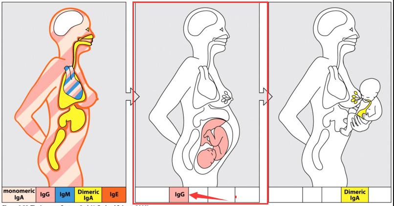 1507798069309998.jpg 3.jpg